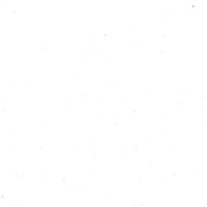 Solo plato principal